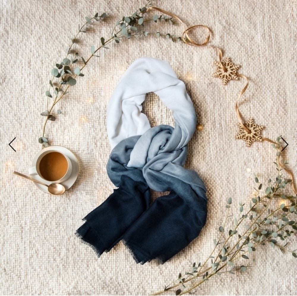 NWT | Cushnie | Gray Horizon Ombre Scarf